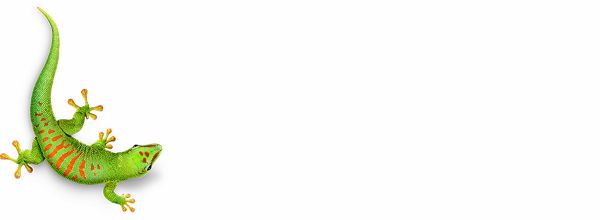 Bostik Born2Bond bij Mavom