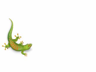 Bostik Born2Bond ULTRA HV bij Mavom