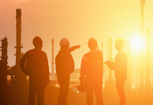 Marktsectoren van Mavom